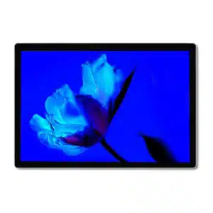 Microsoft Surface Pro 4 - Core i5 2.4GHz, 4GB RAM, 128GB SSD (Ricondizionato)